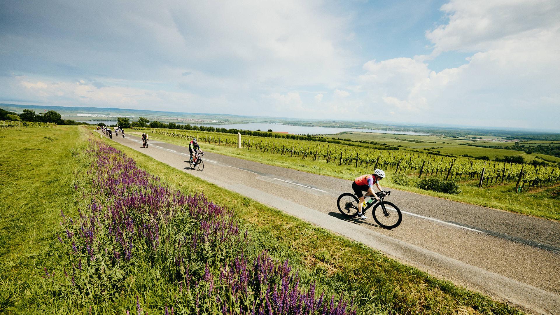 Závody Road Classics i s novou týmovou soutěží startují již za týden na Pálavě! 